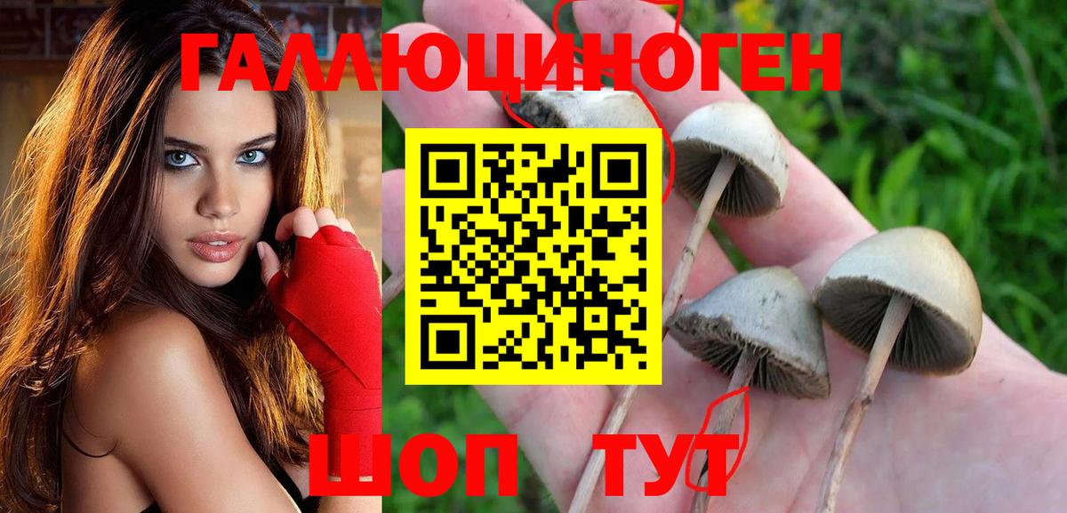 Галлюциногенные грибы прущие грибы Аксай